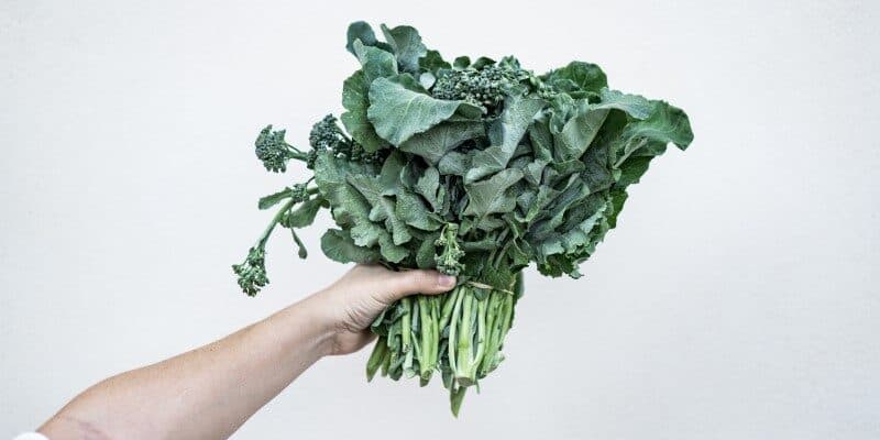 Why Businesses in the Food & Pharmaceutical Industry Need GRC Software