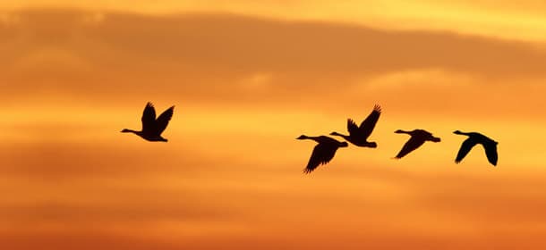 Which Leadership’s Key Factor is Unintentionally Forgotten?