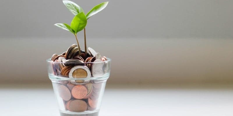 A Primer on Budgeting: What is a budget and more