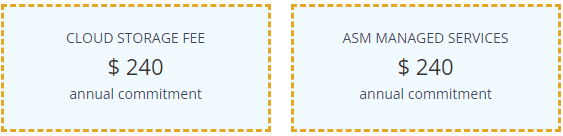 Two pricing cards: Cloud Storage Fee at $240 on an annual commitment, and ASM Managed Services at $240 on an annual commitment.