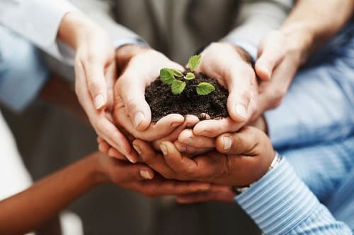 iStock_000012181084Medium
