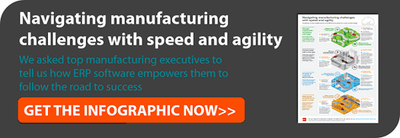 Agile ERP solution infographic