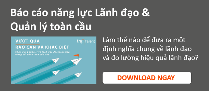 Báo cáo năng lực và quản lý toàn cầu