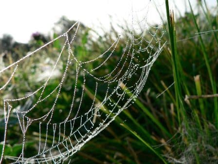 Operational BI Platform and Signs You’re Doing It Right (Part 2)