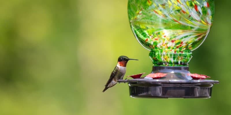 3 câu hỏi hay giúp phỏng vấn nhân viên bán hàng hiệu quả