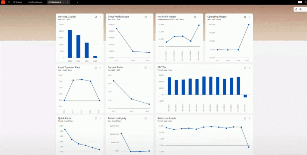 CFO dashboard in Infor SunSystems Cloud